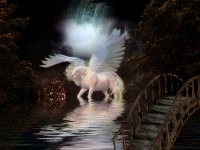 /album/galeria-de-fotos/xx02-jpg/
