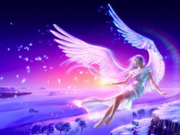 /album/galeria-de-fotos/xx10-jpg/